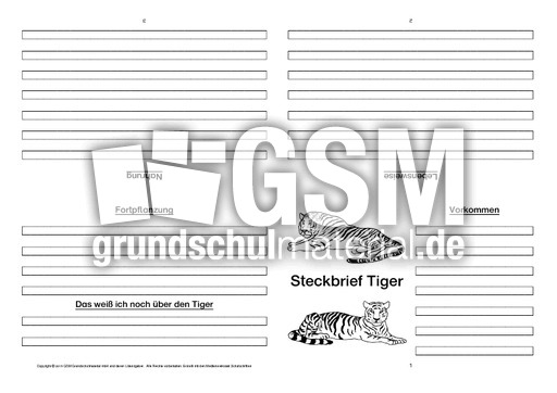 Tiger-Faltbuch-vierseitig-3.pdf